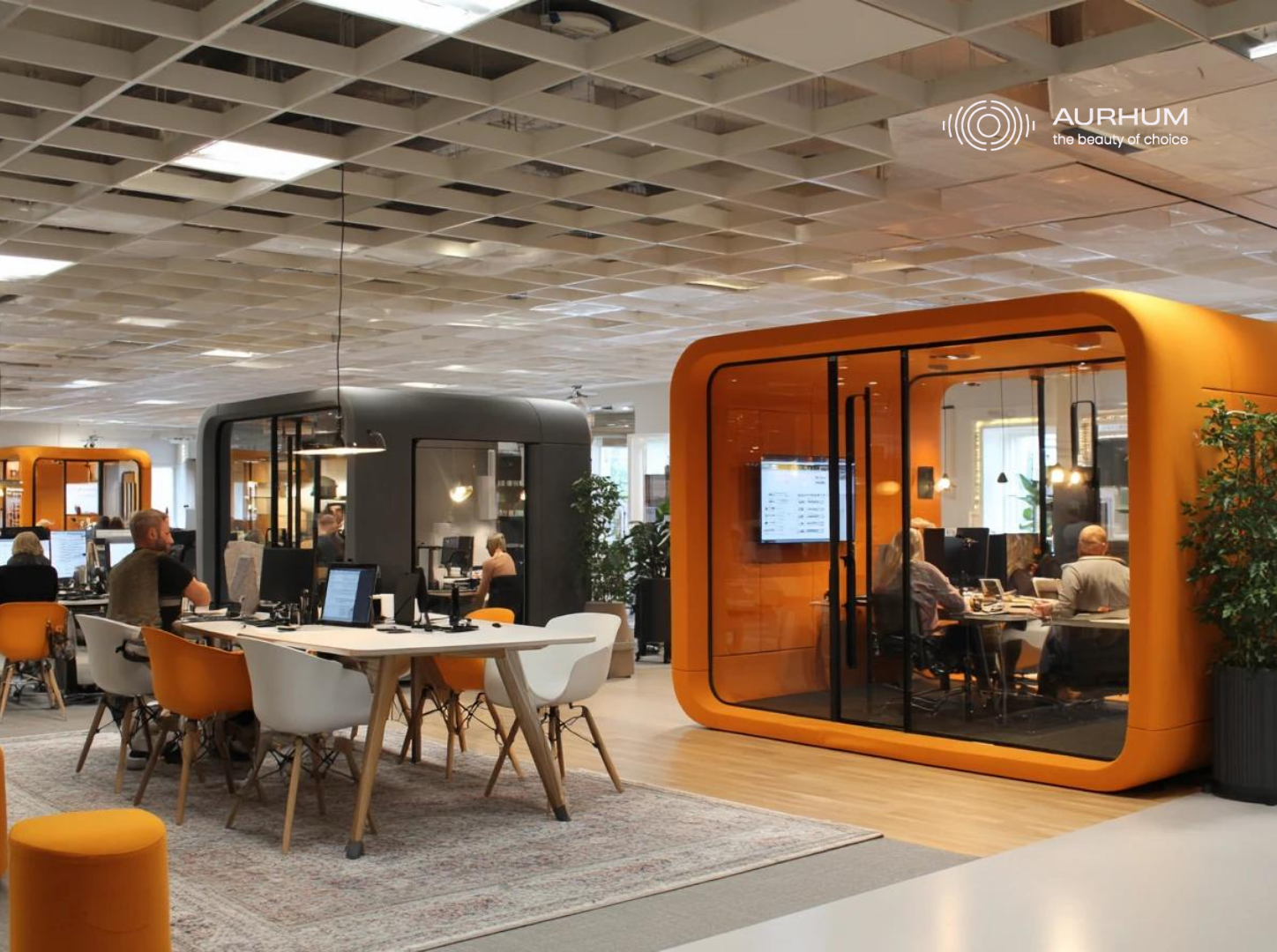 Why Is My Open-Plan Office So Noisy? Common Causes and Practical Fixes