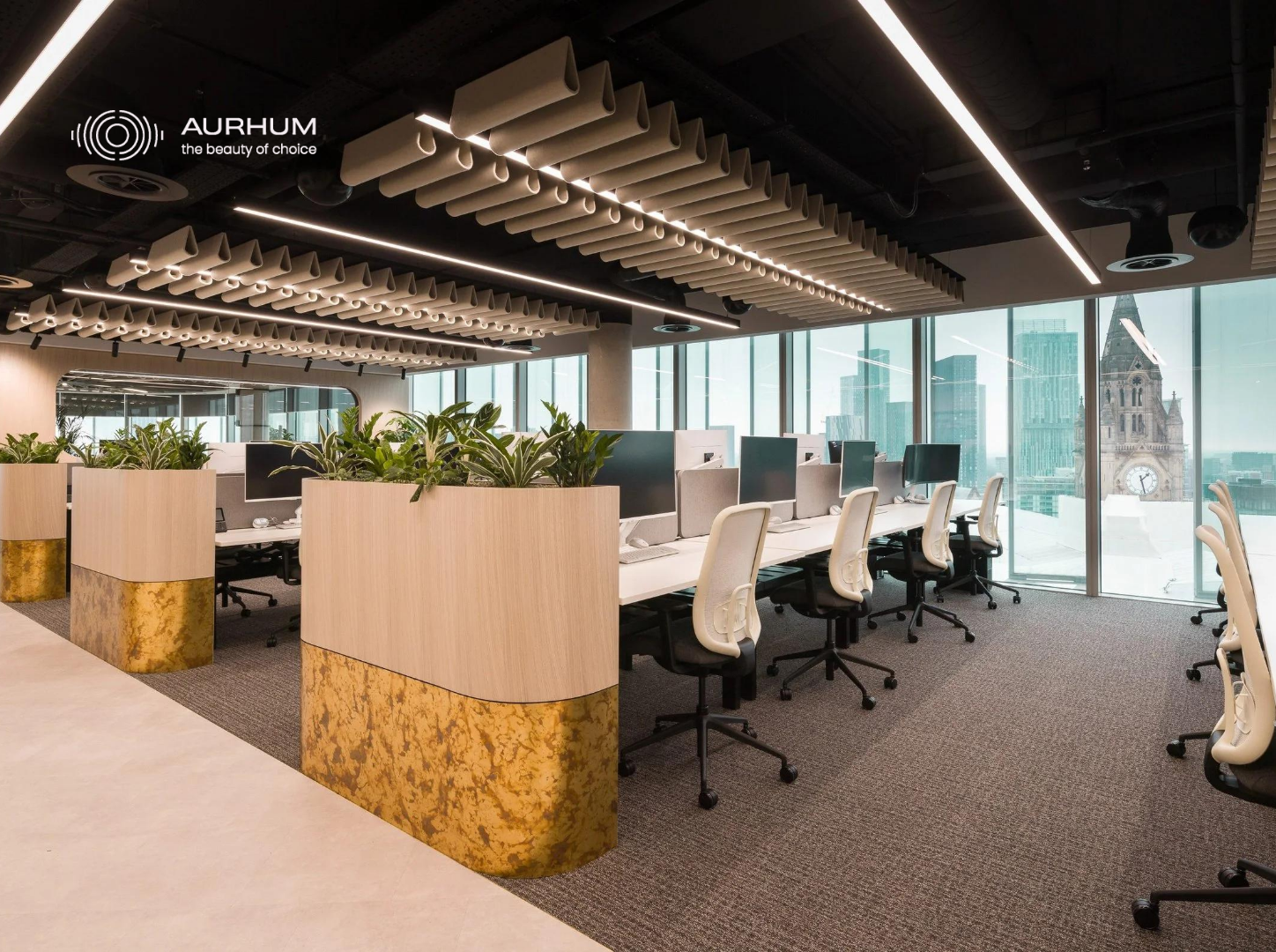Why Is My Open-Plan Office So Noisy? Common Causes and Practical Fixes